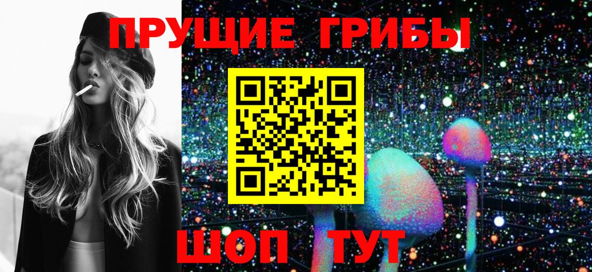 Йошкар-Ола  Псилоцибиновые грибы ЛСД  Вход с VPN  Галлюциногенные грибы мицелий 